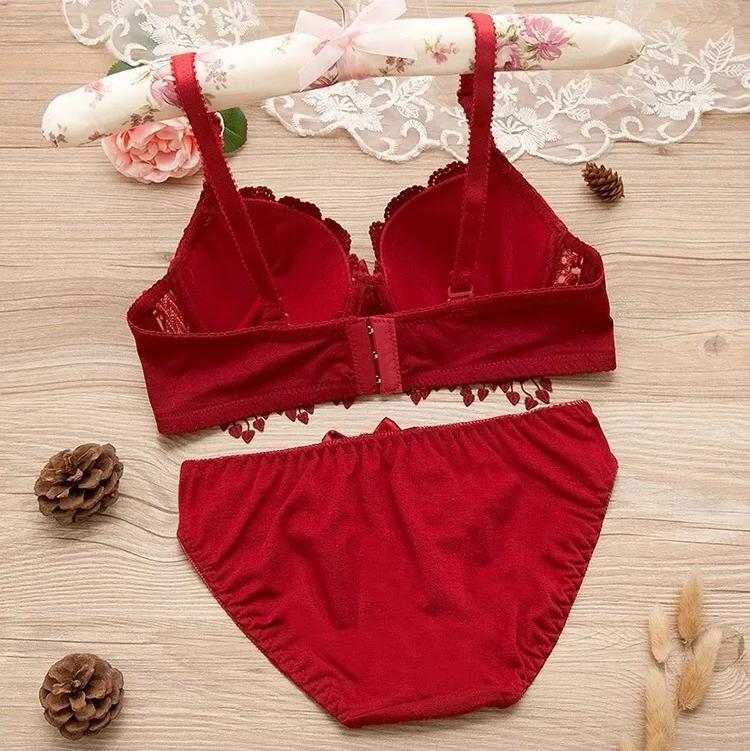 Women Lace embroidered Push Up Underwire Bra And Panty Set 018